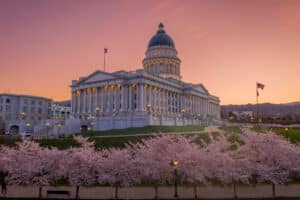 Capitol building with a domed roof at dusk, framed by rows of pink cherry blossoms in bloom.